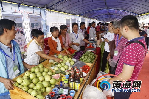 消費扶貧賦能鄉村振興 定安農副產品展銷會銷售額突破127萬元